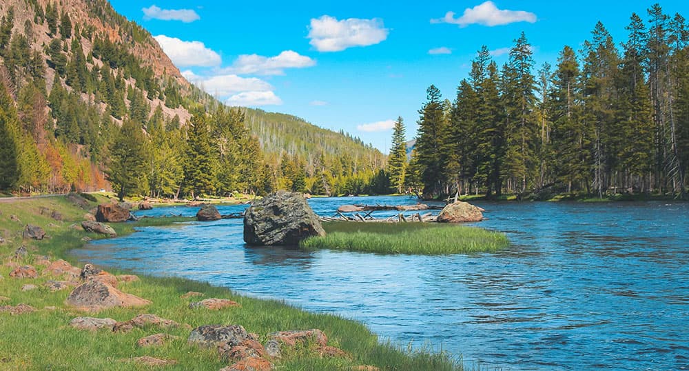 Yellowstone National Park.